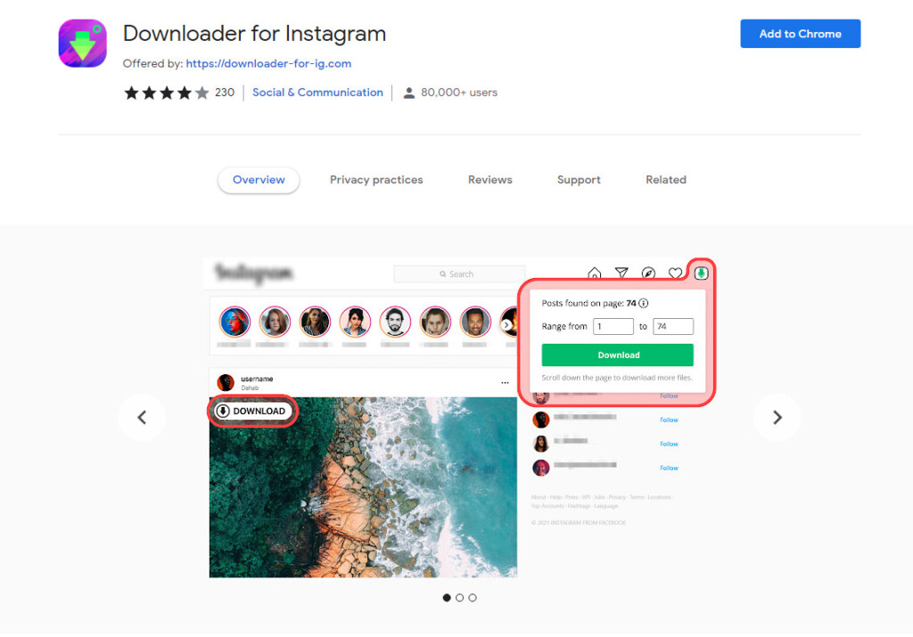 download feed instagram