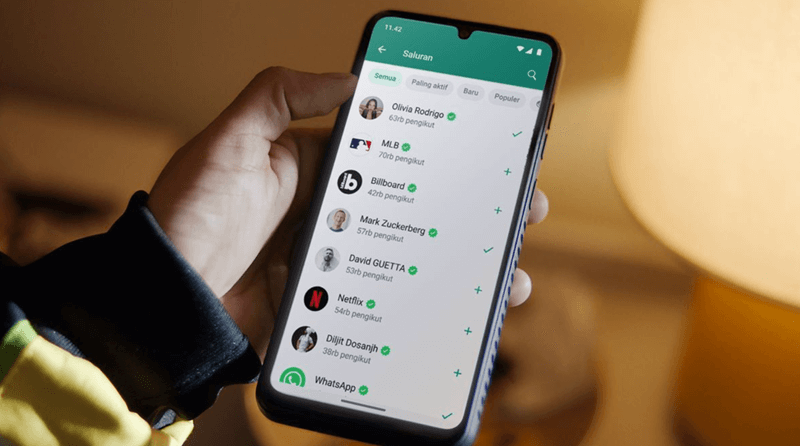 Konsisten dalam Mengupdate Konten di channel whatsapp - cara mendapatkan followers di channel whatsapp