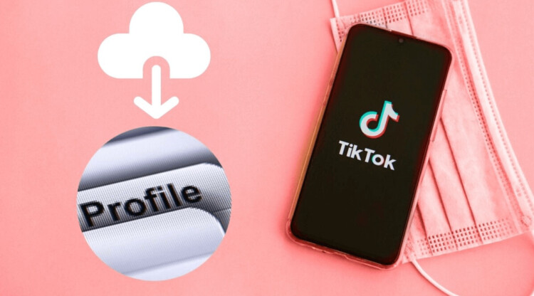 4 Cara Download Foto Profil TikTok, Anti Bayar – No Aplikasi