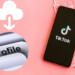 4 Cara Download Foto Profil TikTok, Anti Bayar – No Aplikasi