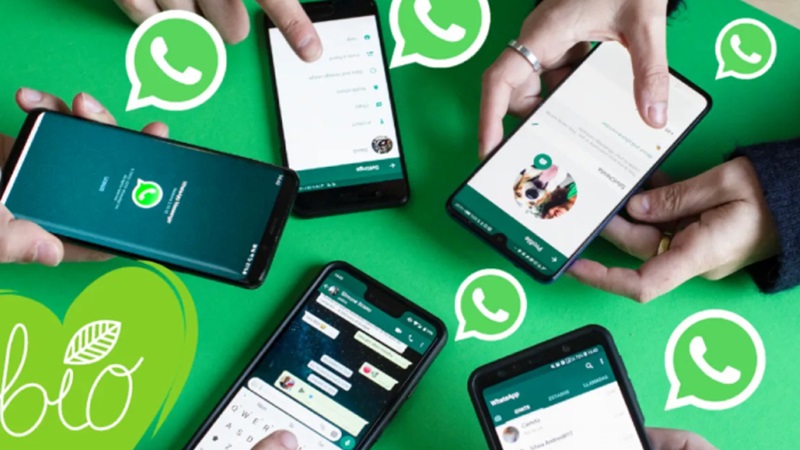 Manfaat Utama Bio WhatsApp untuk Content Creator