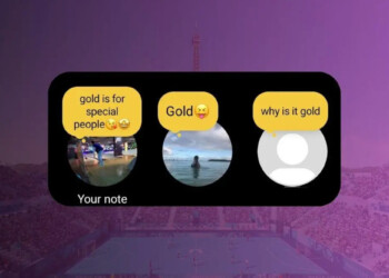 craa hide notes di ig