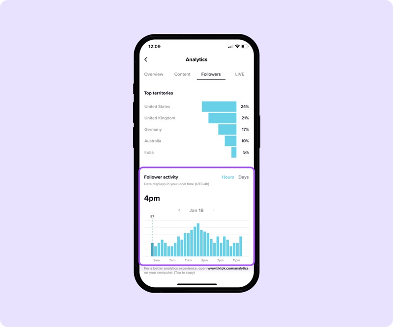 Apa Itu Statistik Followers TikTok