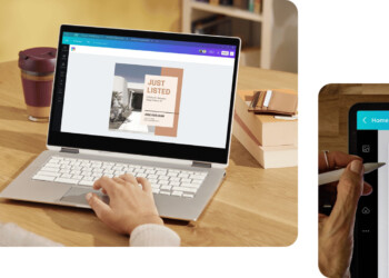 perbedaan canva creator dan contributor