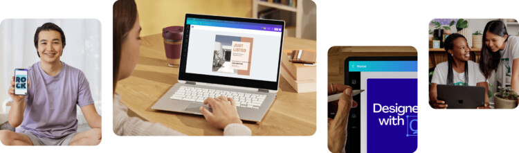 perbedaan canva creator dan contributor