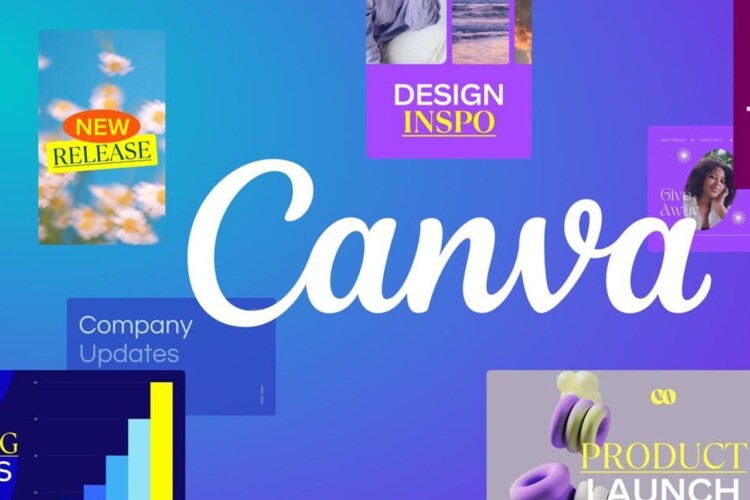 perbedaan canva member dan designer
