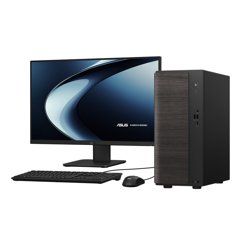 ASUS V500 Mini Tower (V501MV)